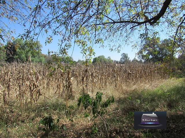 #TV 30 - Terreno para construcción para Venta en Tepotzotlán - MC - 3