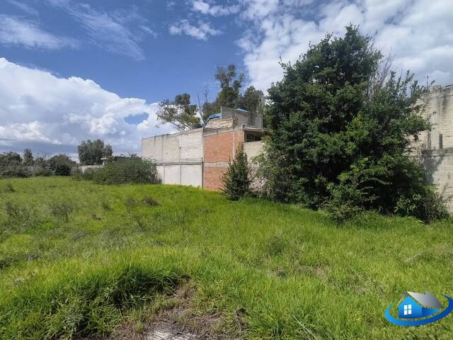 #TV 31 - Terreno para construcción para Venta en Cuautitlán Izcalli - MC - 2